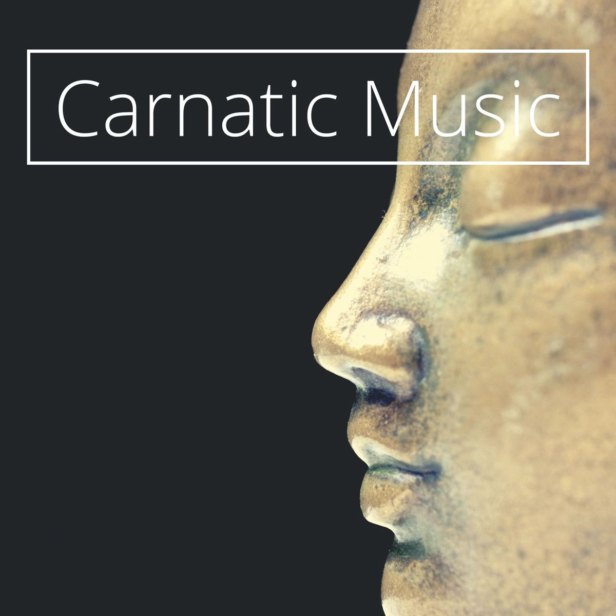Album cover of Carnatic Music: Relaxing Indian Music for Yoga, Meditation, Sleep
