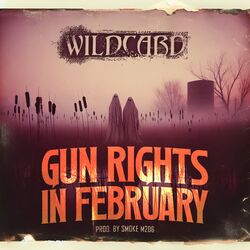 Cover of Gun Rights in February