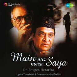 Cover of Main Aur Mera Saya