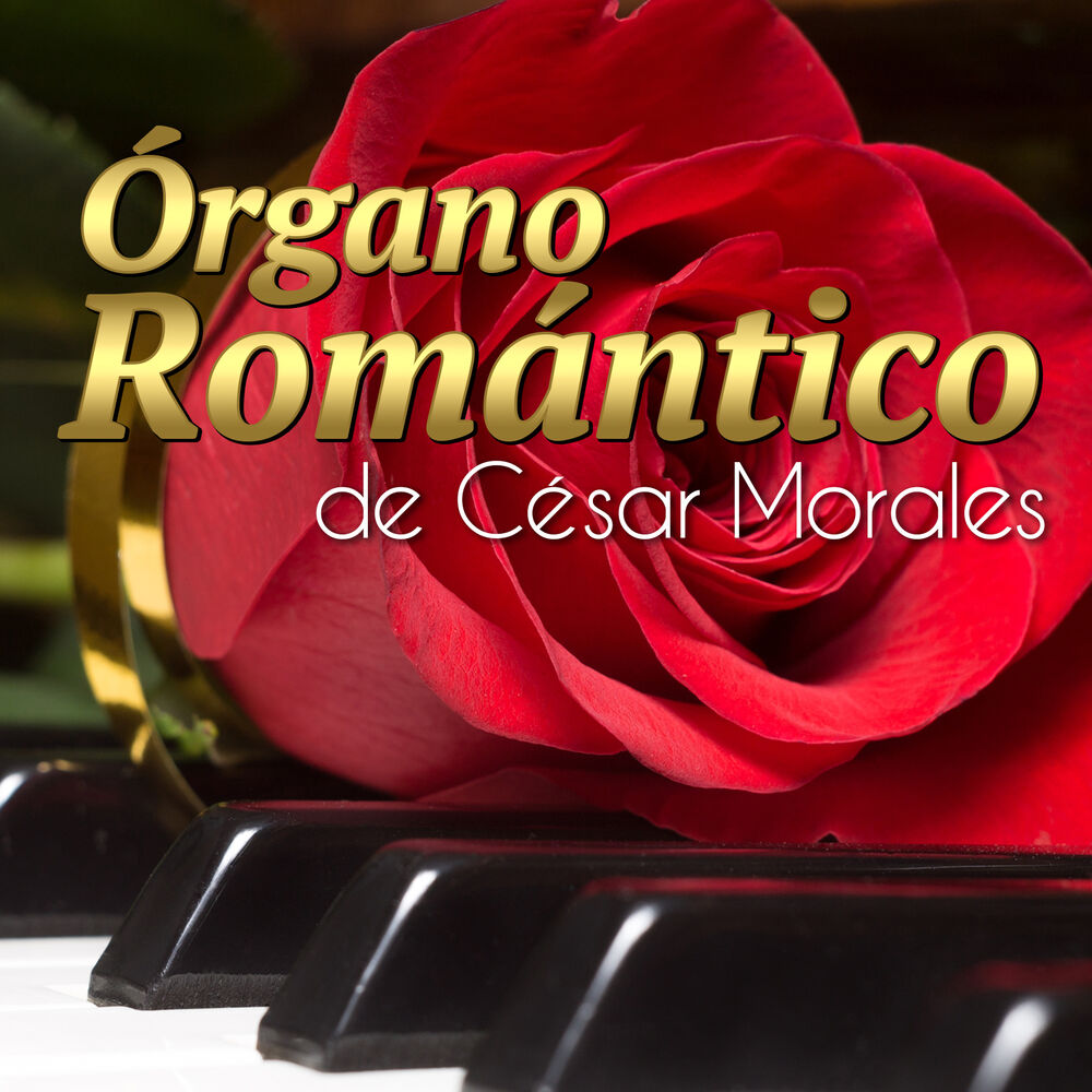 Picture of Órgano Romántico