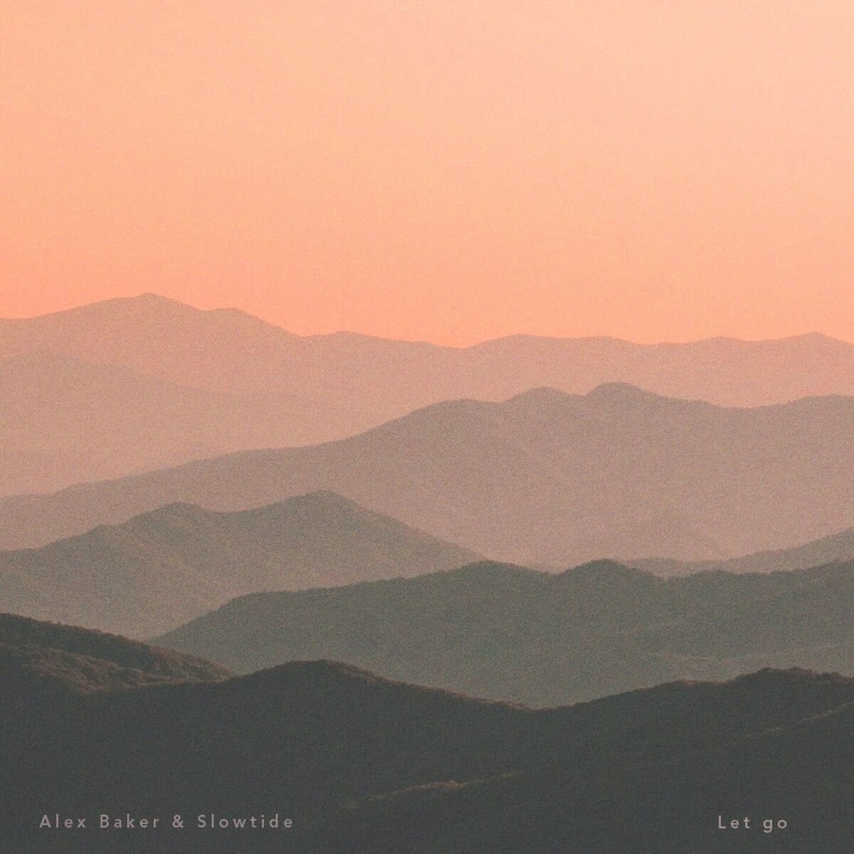 Album cover of Let Go