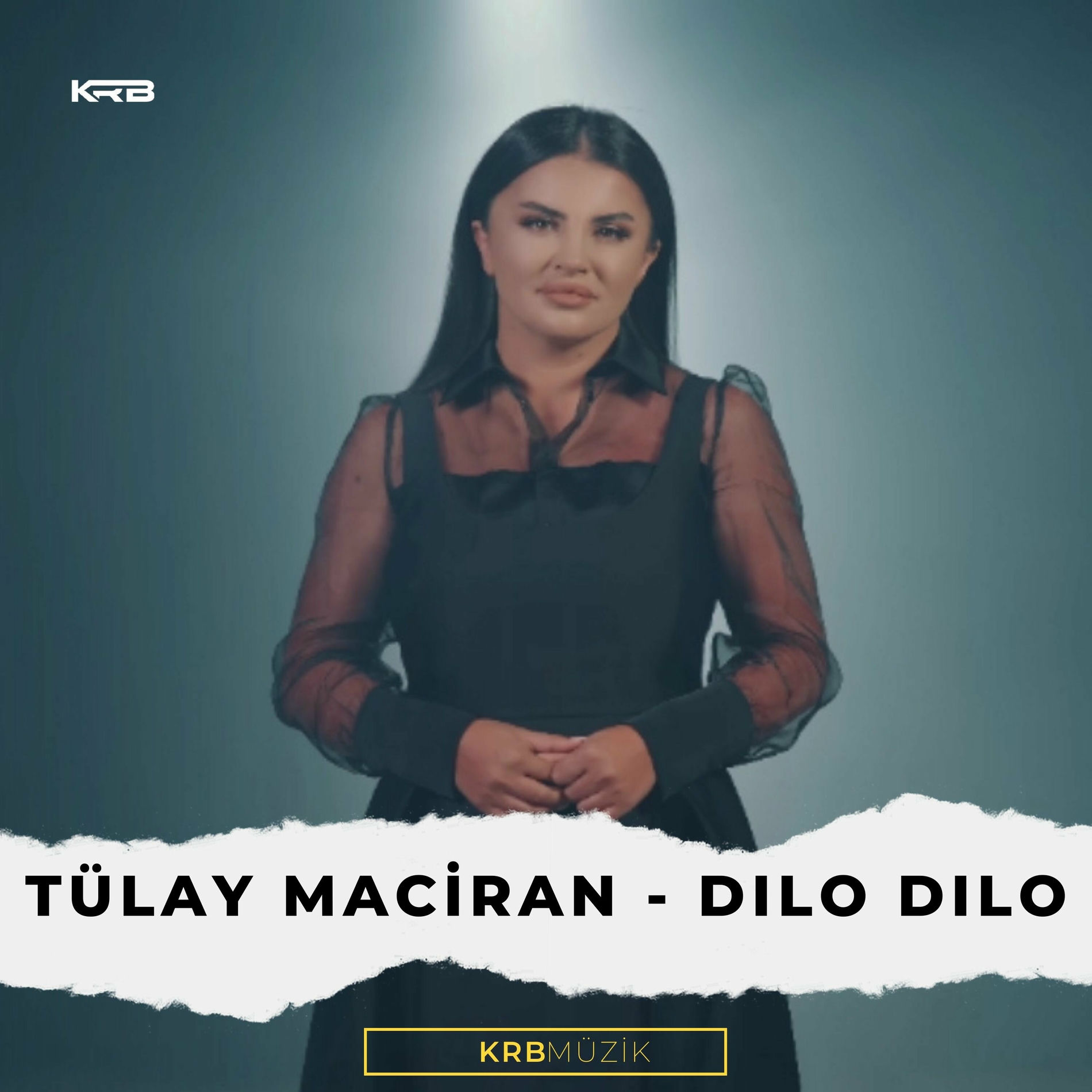 Album cover of Dılo Dılo