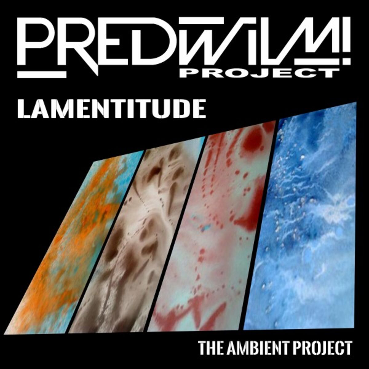 Album cover of Lamentitude (The Ambient Project)