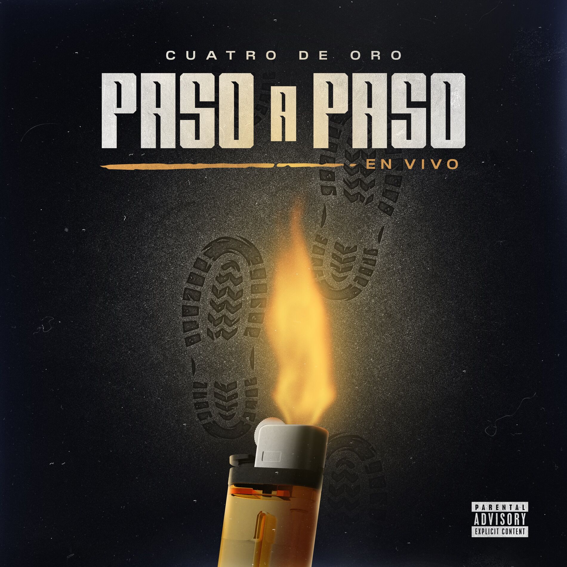 Album cover of Paso A Paso (En Vivo)