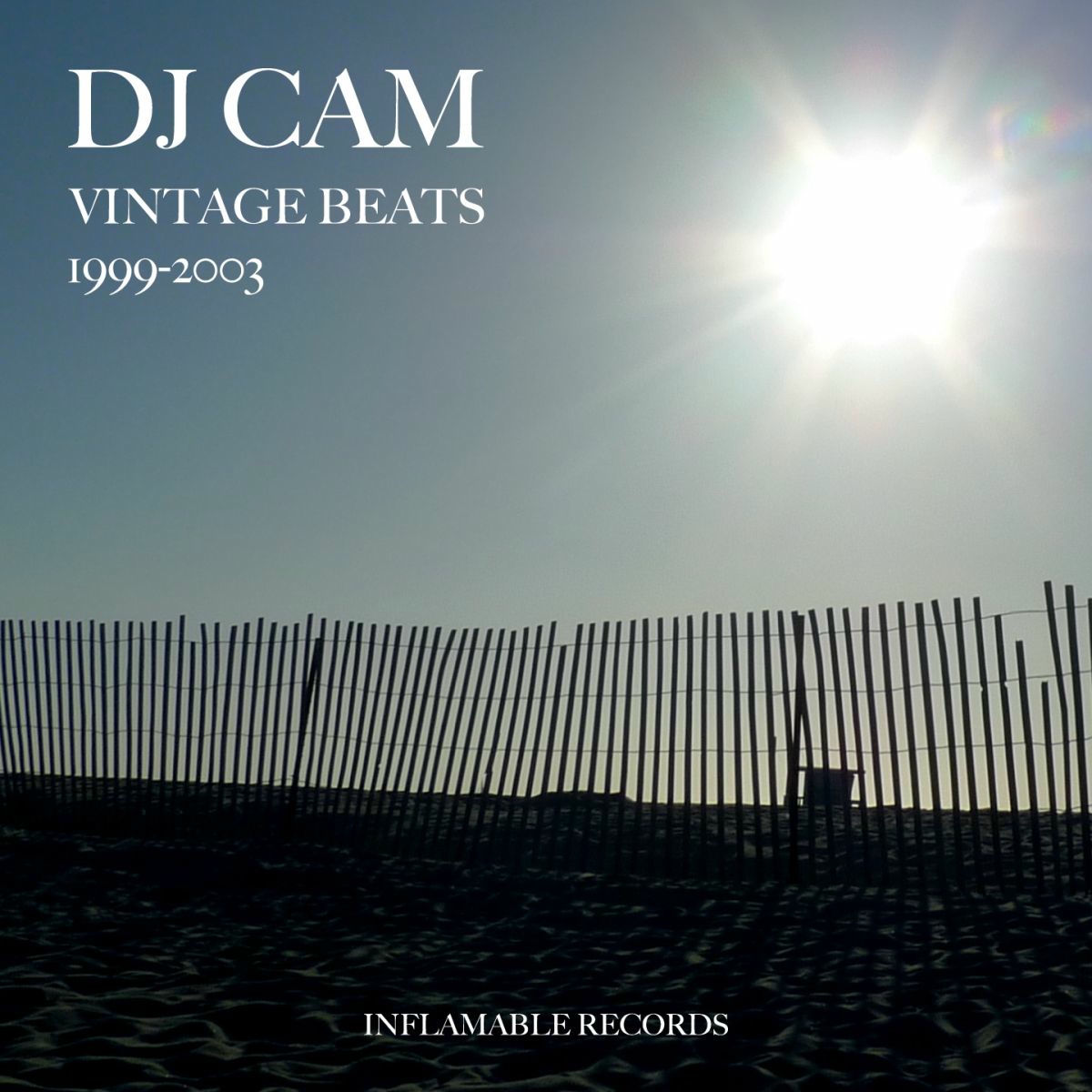 Album cover of Vintage Beats 1999-2003