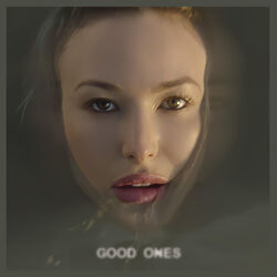 Cover of Good Ones