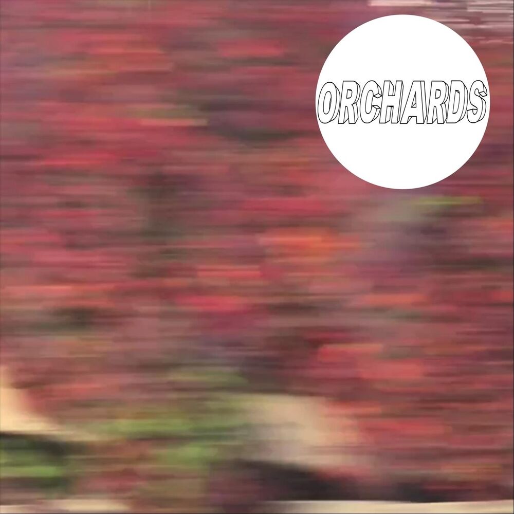 Picture of Orchards