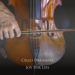 Cover of Joy For Life