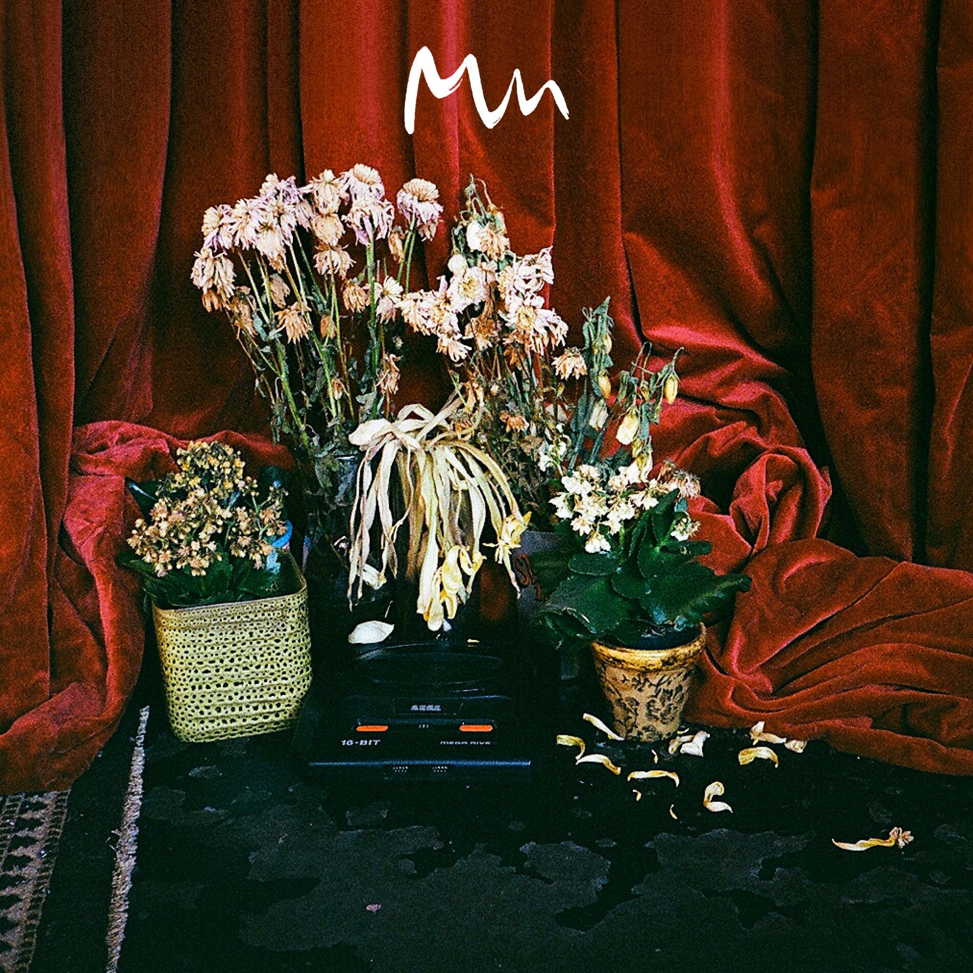 Album cover of Beta Songs