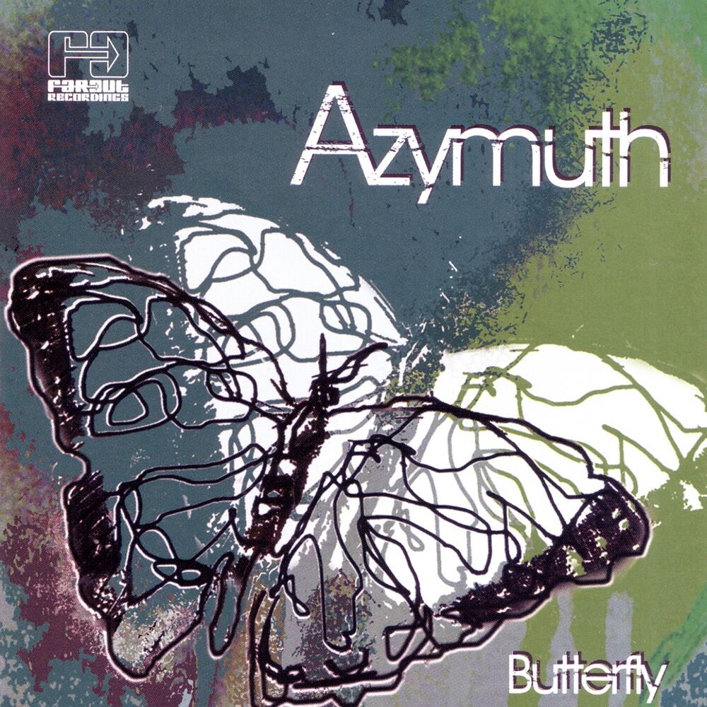 Picture of Butterfly