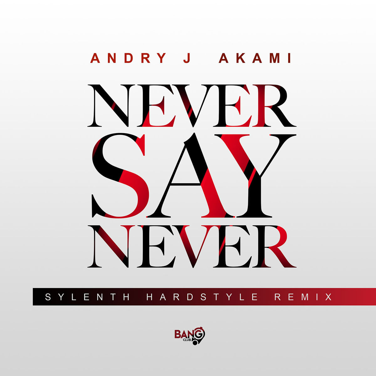 Album cover of Never Say Never (Sylenth Remix)