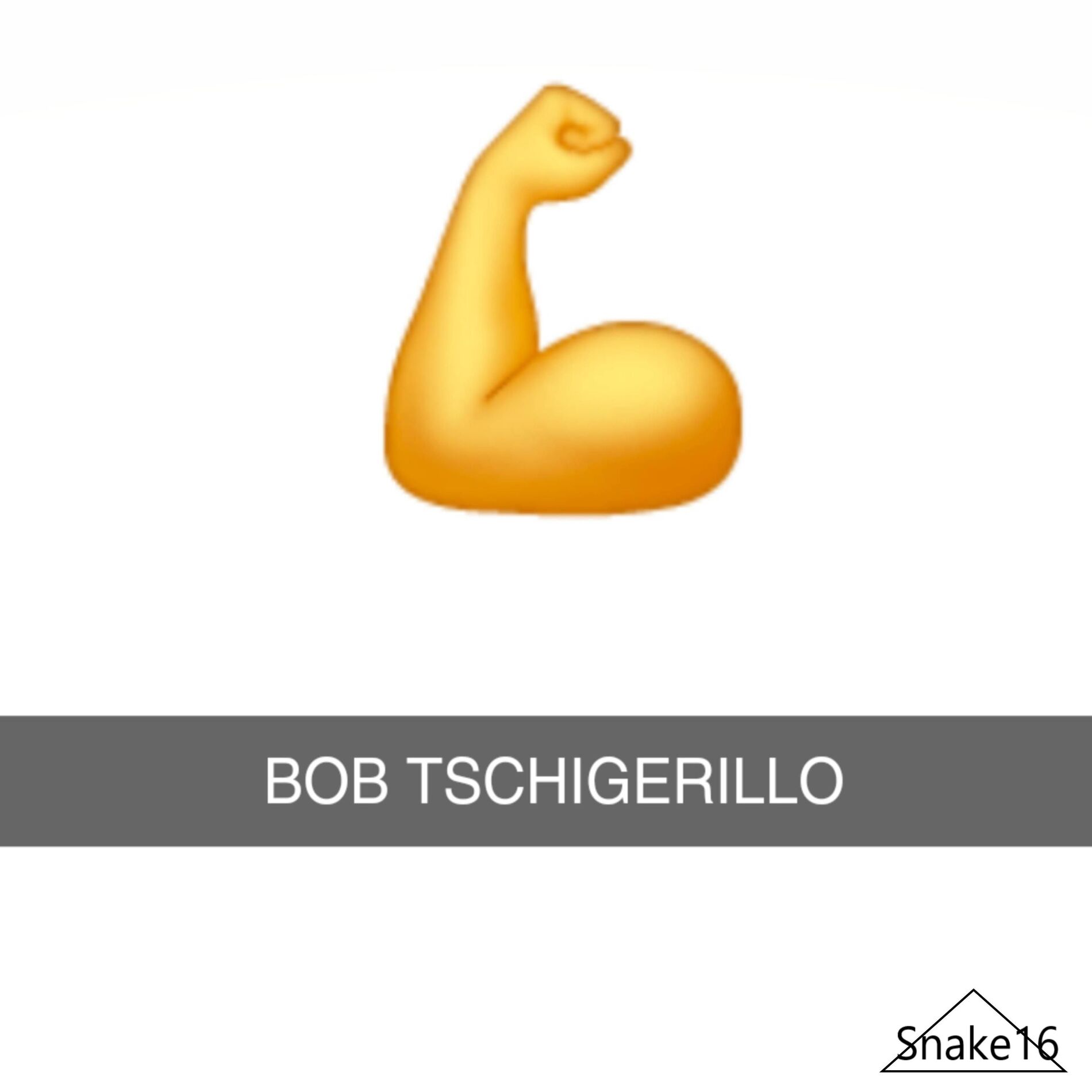 Album cover of BOB TSCHIGERILLO