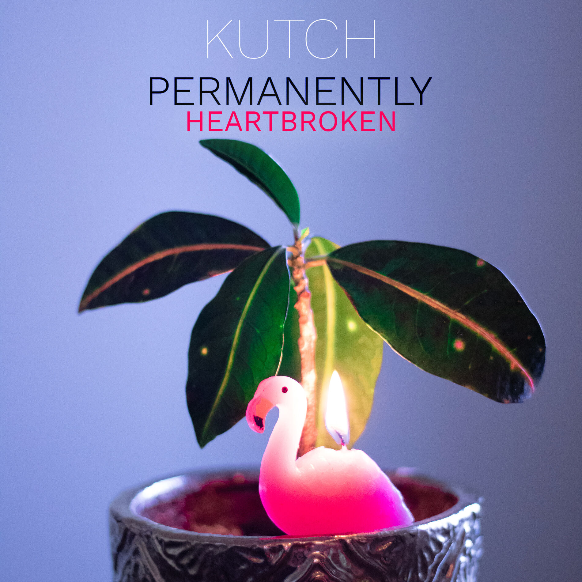 Album cover of Permanently Heartbroken