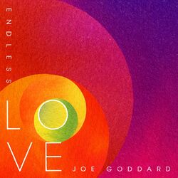 Cover of Endless Love