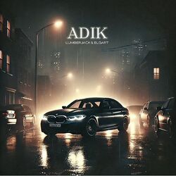 Cover of Adik