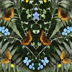 Cover of aubades