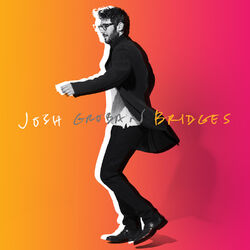Cover of Bridges