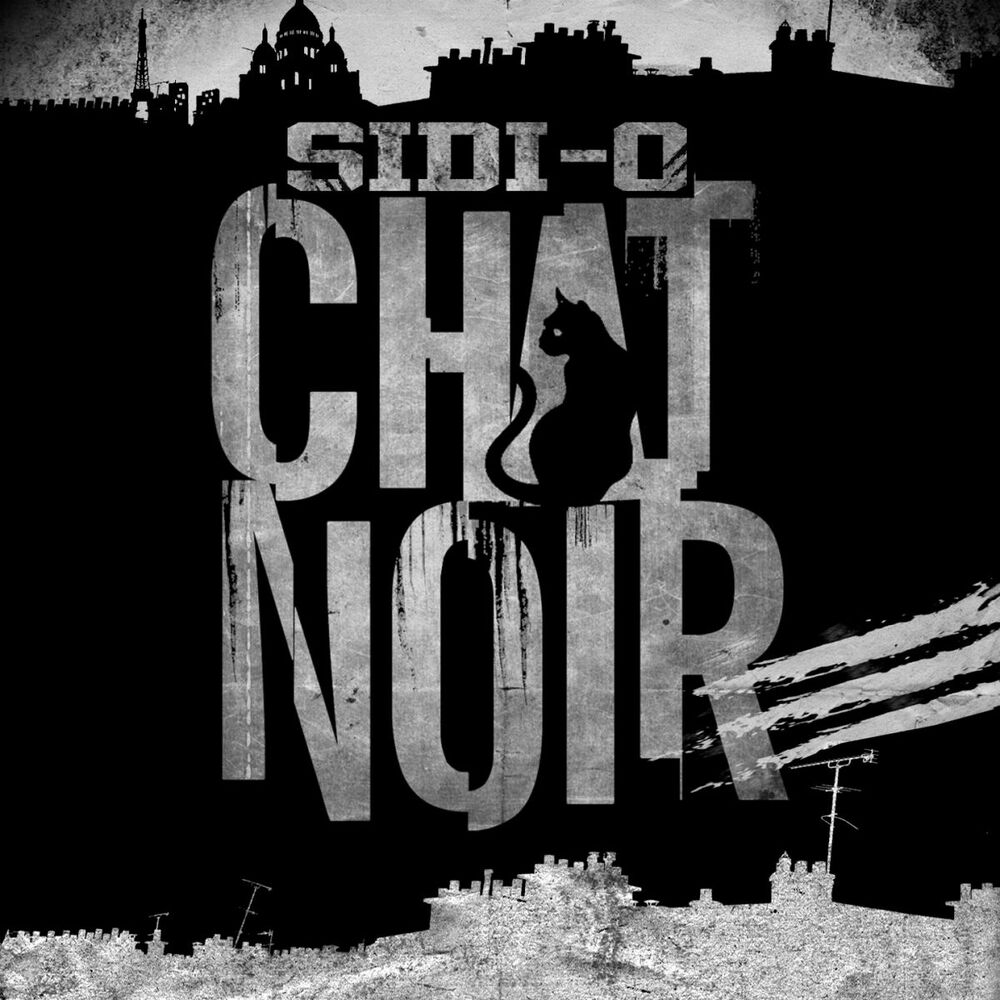 Picture of Chat noir