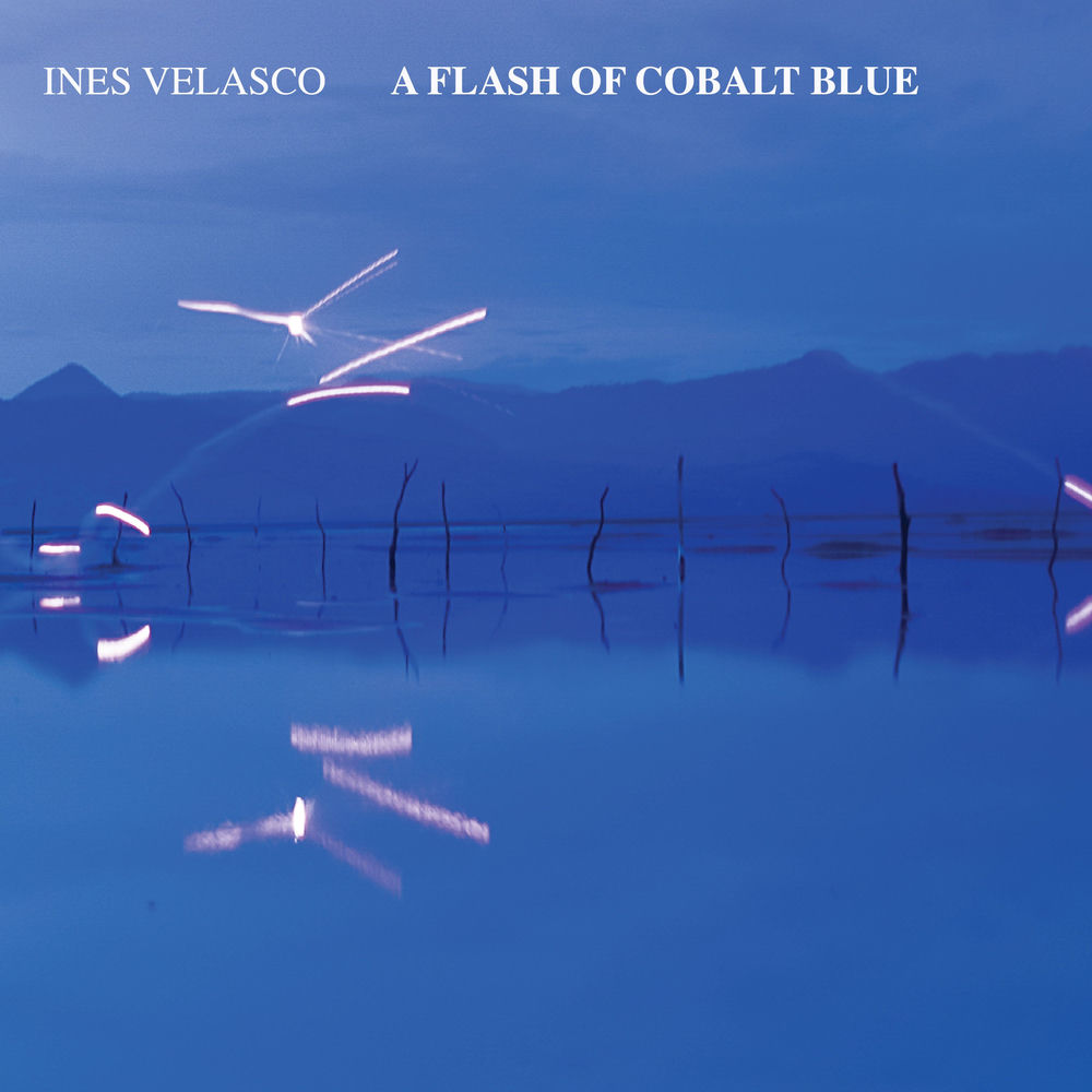 Cover du titre In The Tropical Night