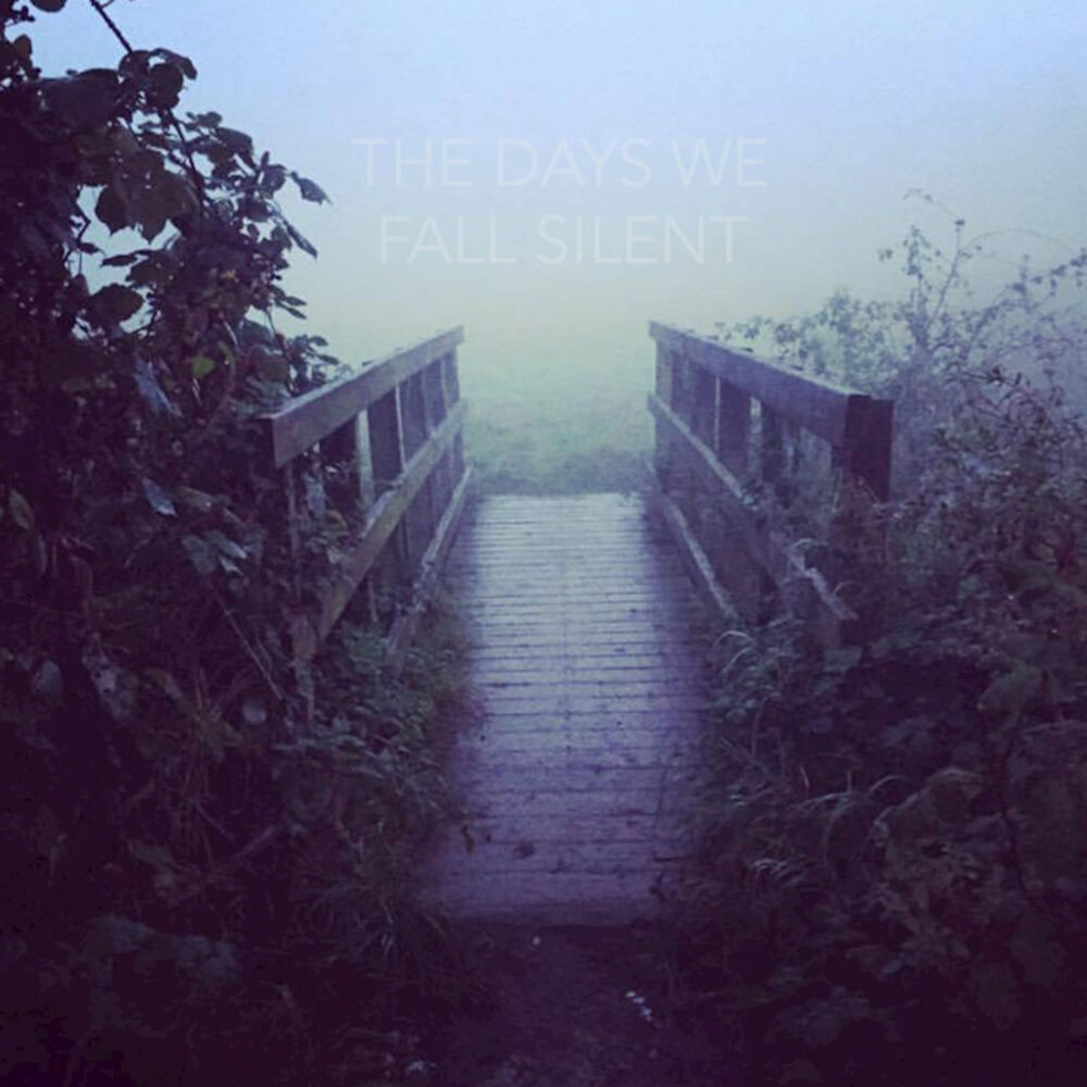 Picture of The Days We Fall Silent