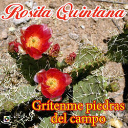 Cover of Grítenme Piedras Del Campo