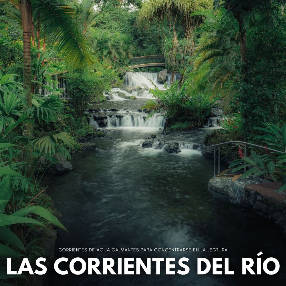 Picture of Las Corrientes Del Río: Corrientes De Agua Calmantes Para Concentrarse En La Lectura