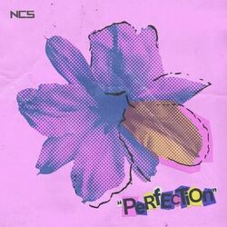 Cover of Perfection