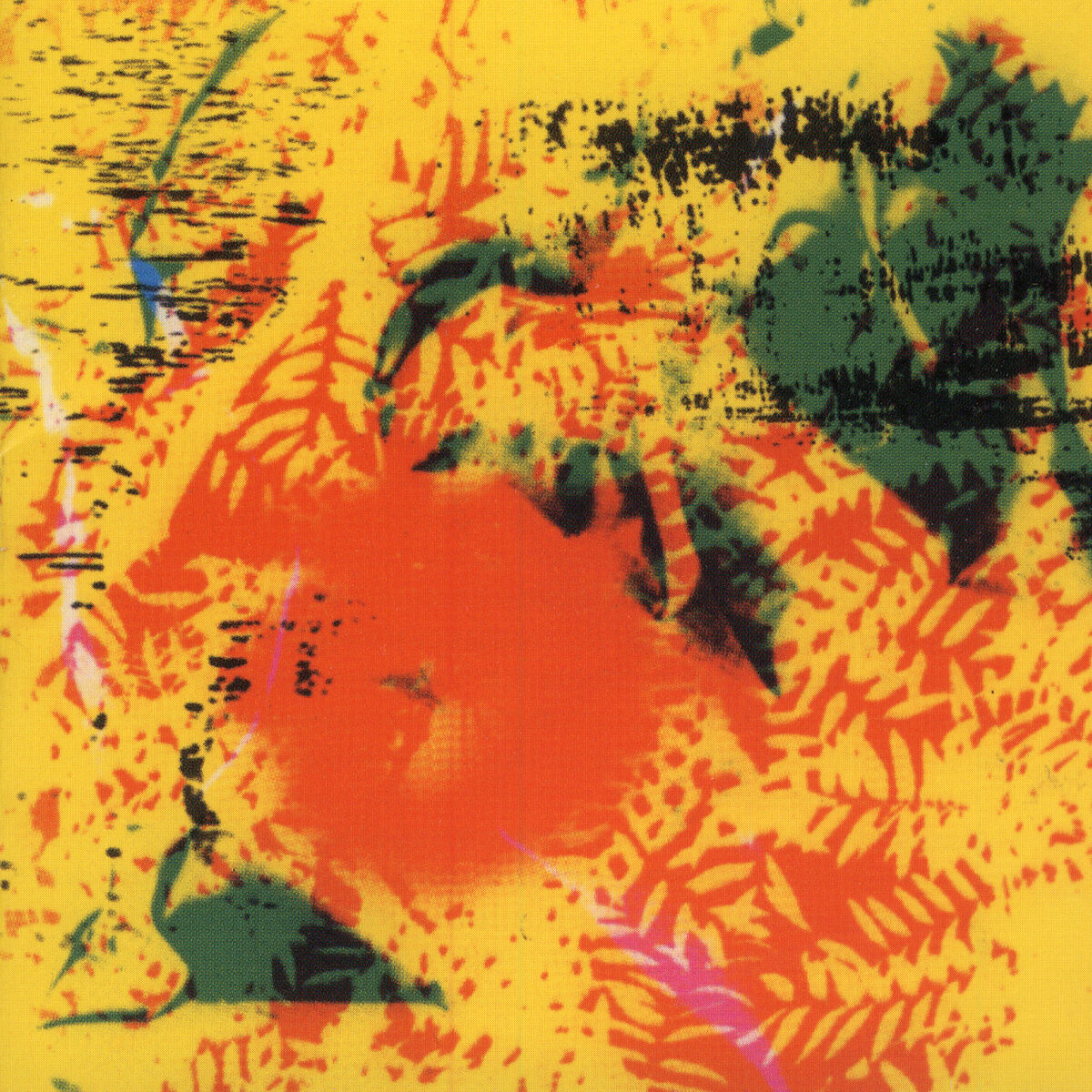 Album cover of Young Person's Guide to Phill Niblock (YPGPN)