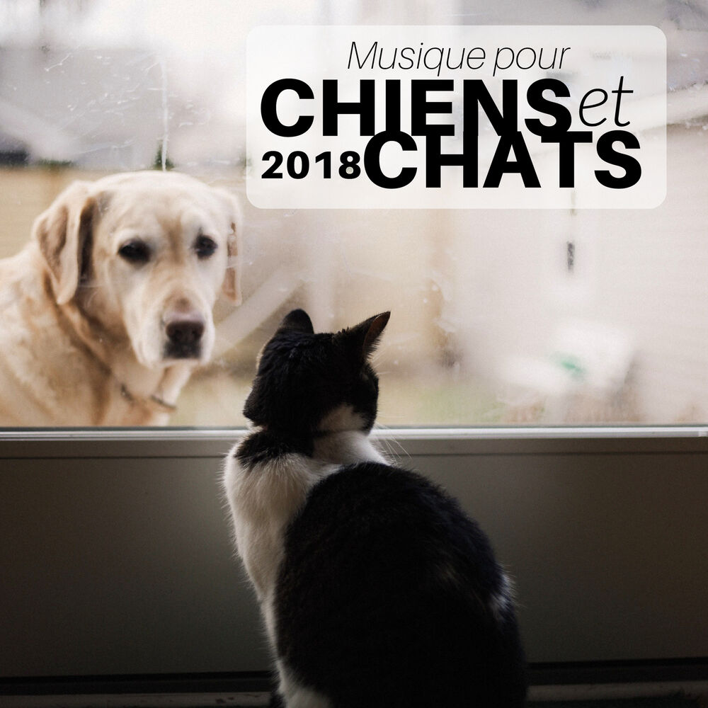 Picture of Musique pour Chiens et Chats 2018 - Berceuses pour Calmer vos Petits Amis