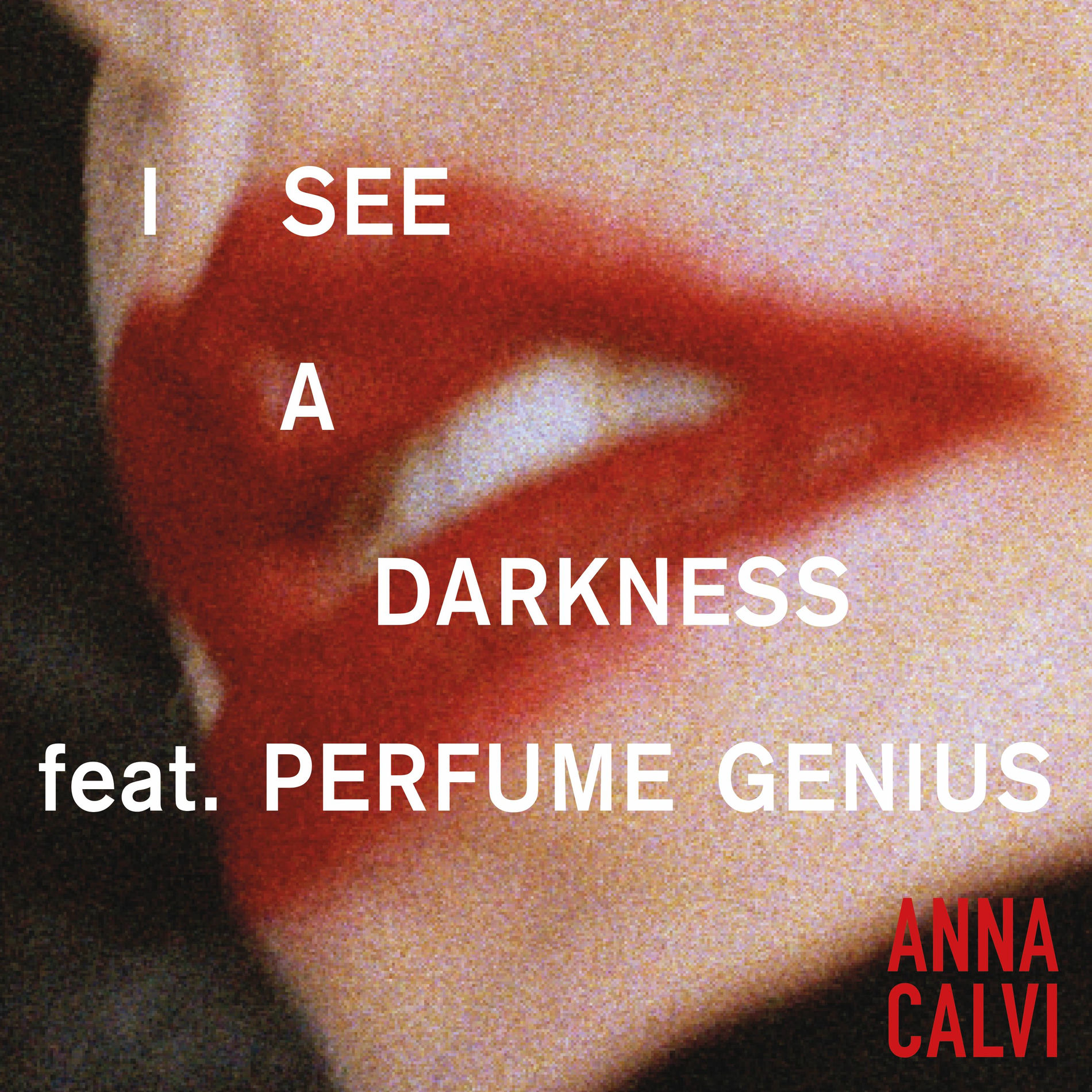 Album cover of I See A Darkness