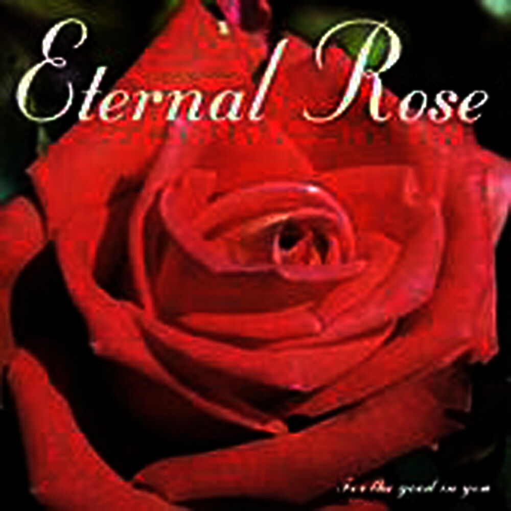 Picture of Eternal Rose
