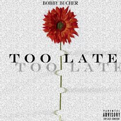 Cover of Too Late