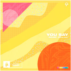 Cover of You Say