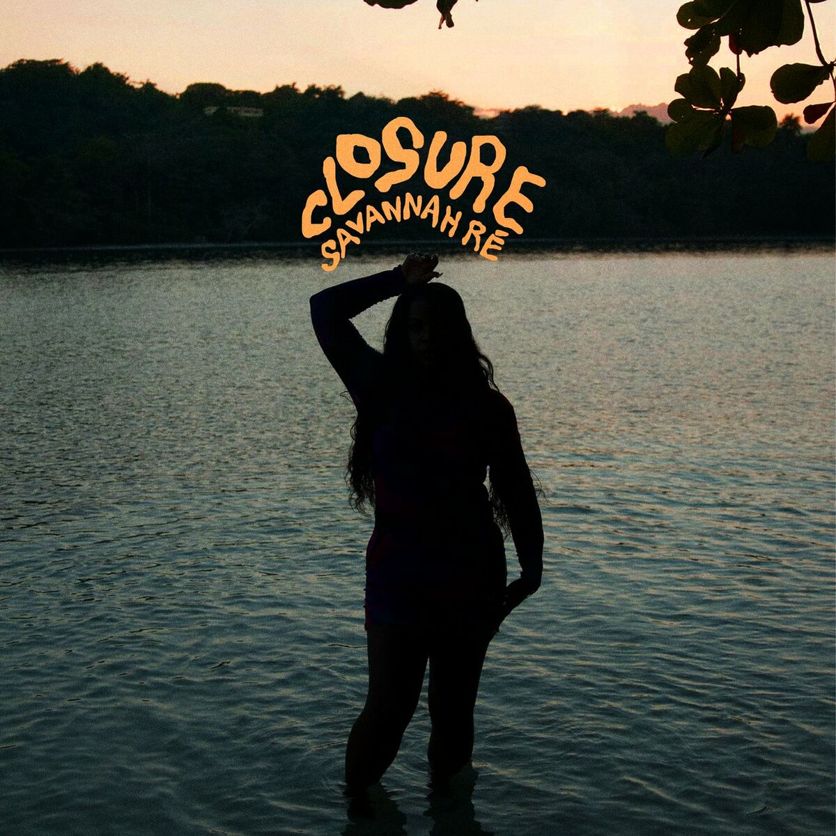Album cover of Closure