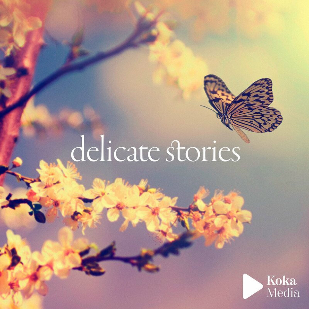 Album cover of Delicate Stories