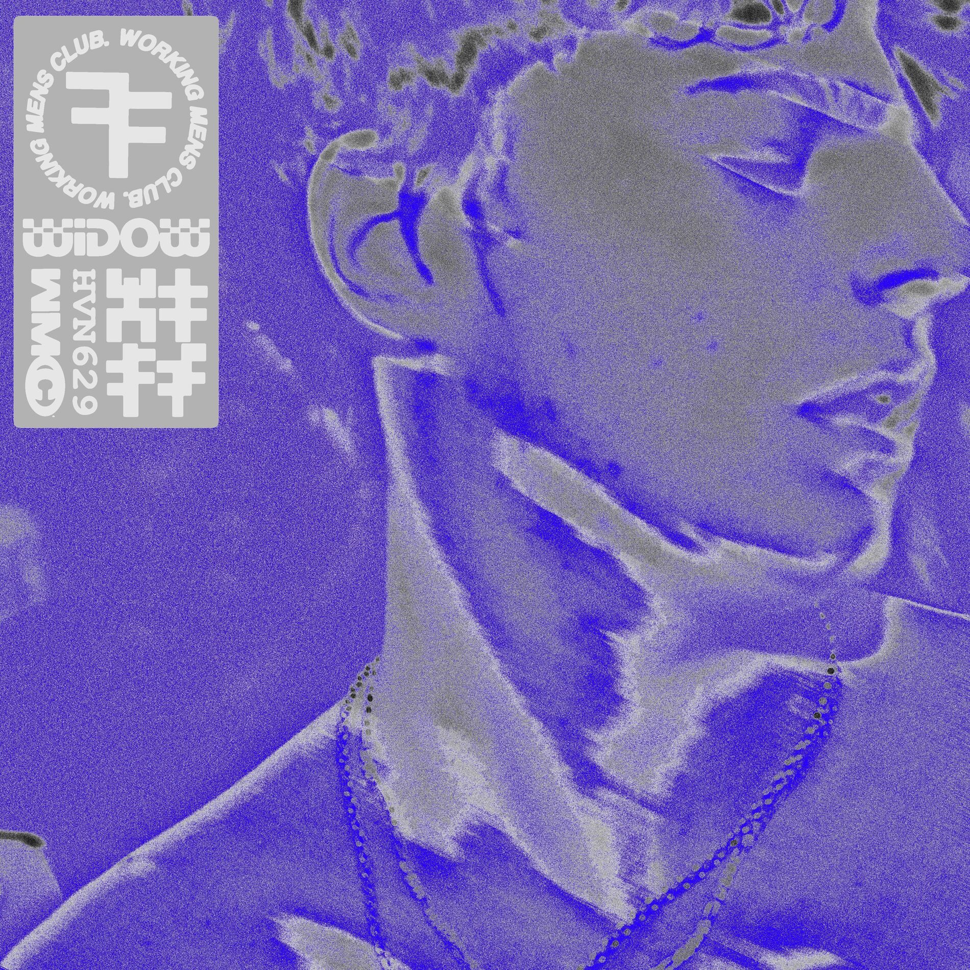 Album cover of Widow