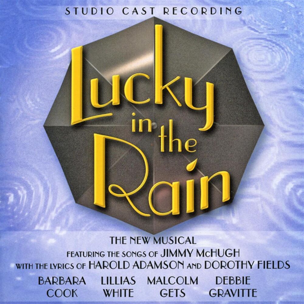 Picture of Lucky In The Rain - The New Musical