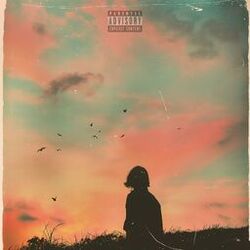 Cover of UN POSTO NEL MONDO