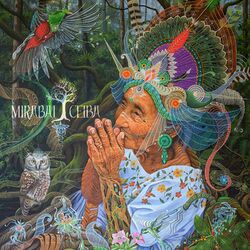 Cover of Canto por México