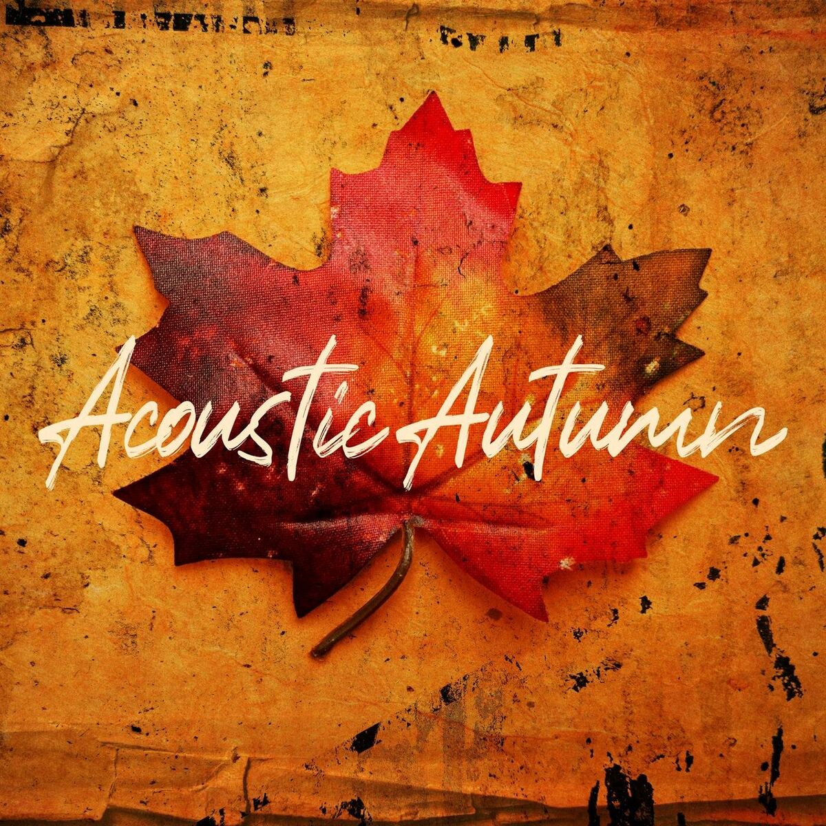 Album cover of Acoustic Autumn