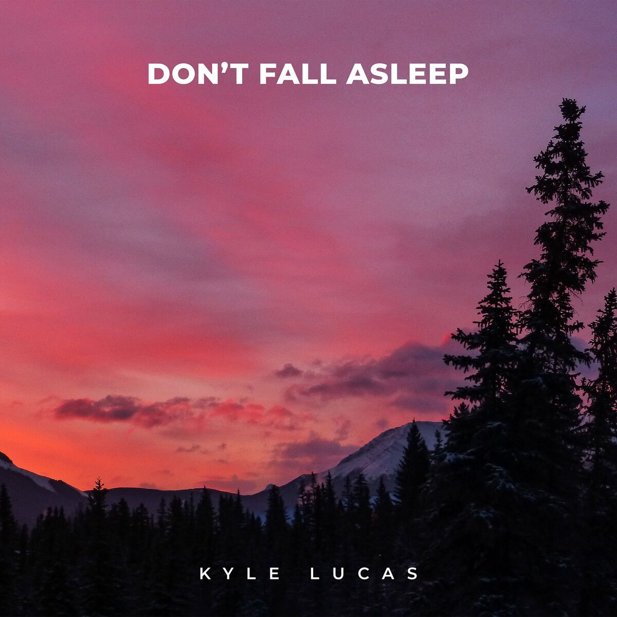 Album cover of Don't Fall Asleep