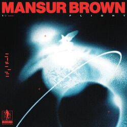 Cover of Flight