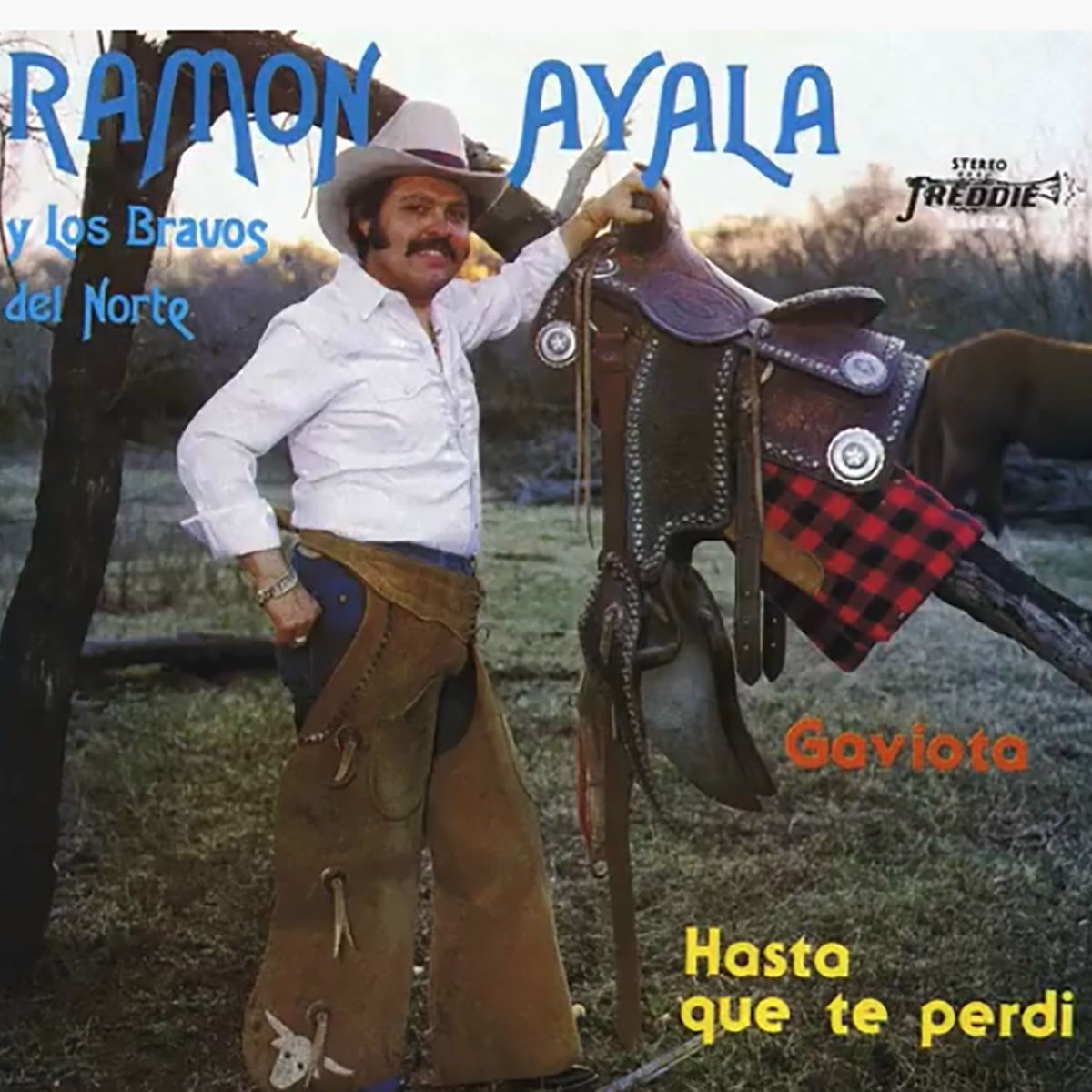 Album cover of Gaviota / Hasta Que Te Perdí (Remasterizado)