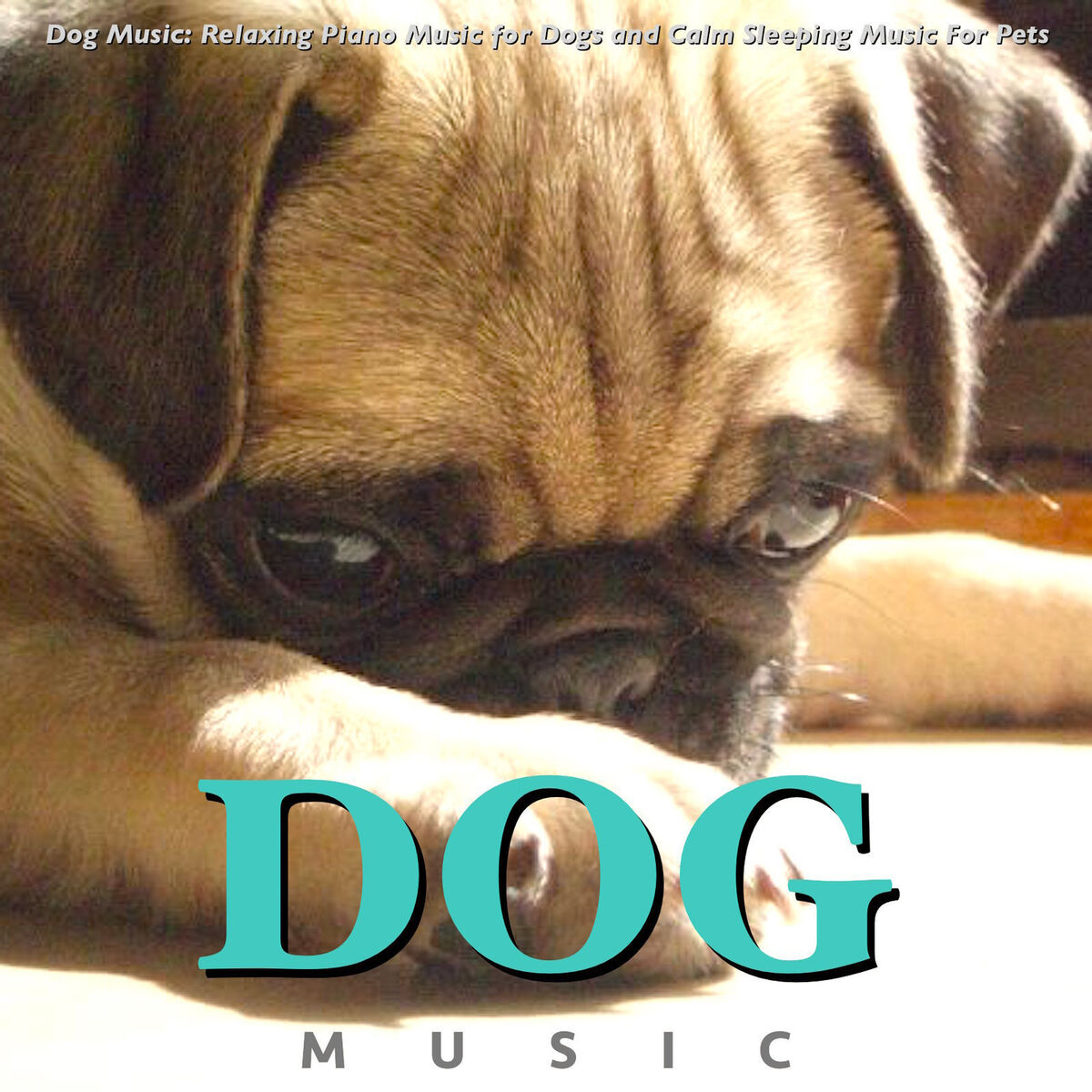 Album cover of Best Music for Dogs