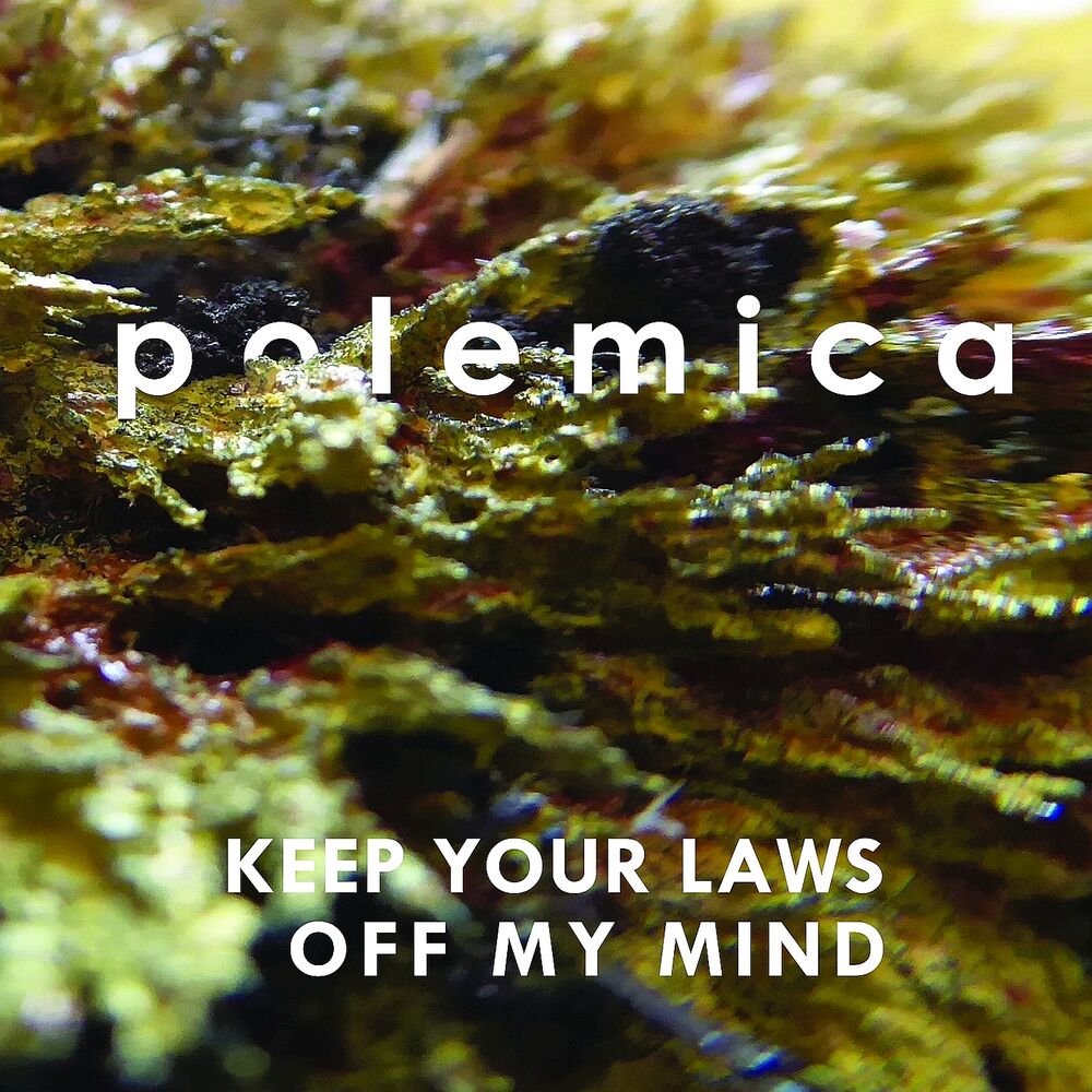 Picture of Keep Your Laws off My Mind