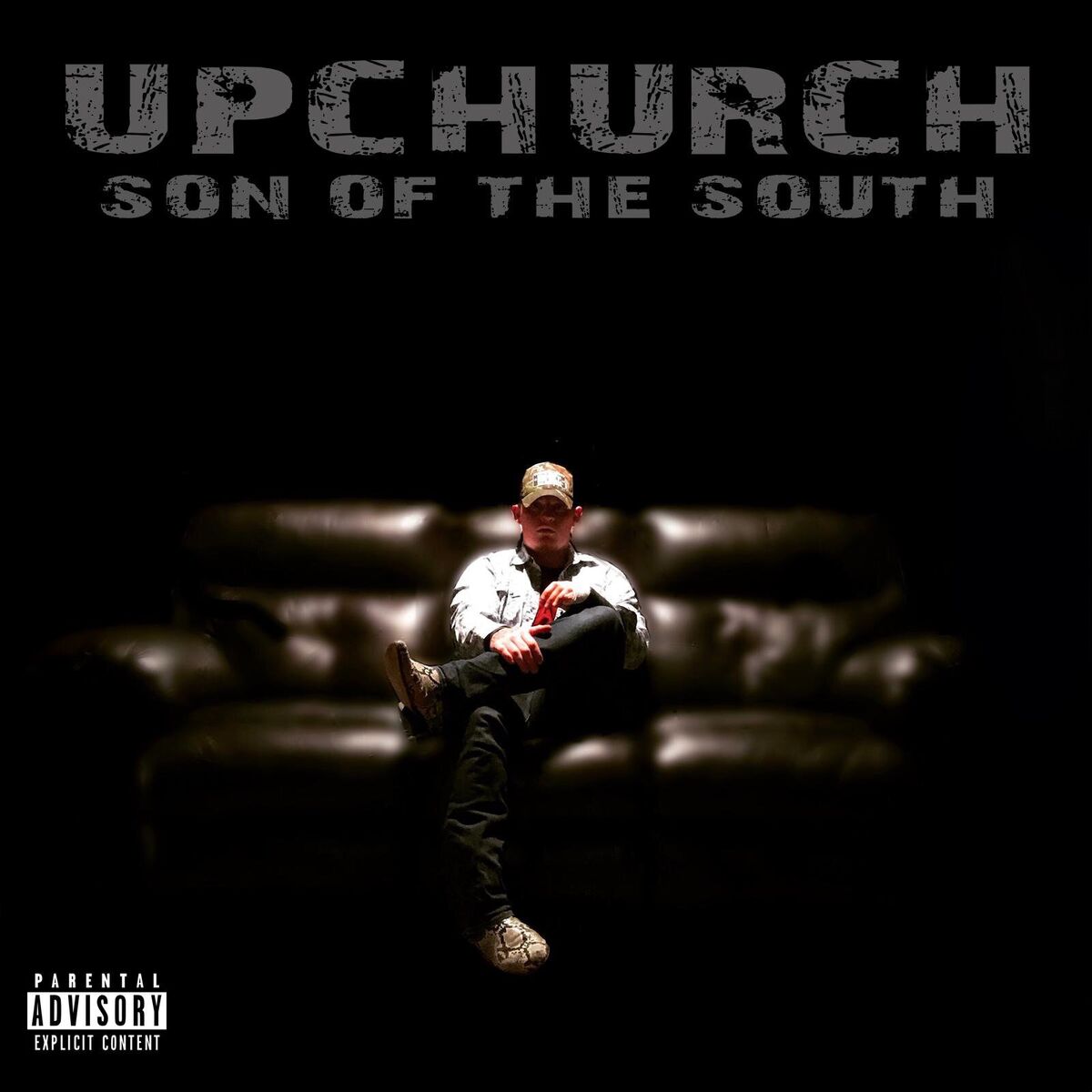 Album cover of Son of the South