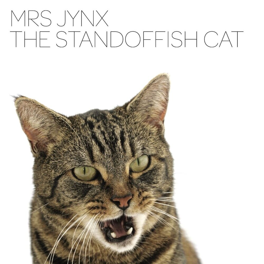 Picture of The Standoffish Cat