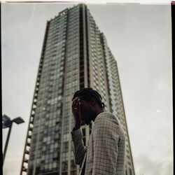 Cover of Stay Right Here