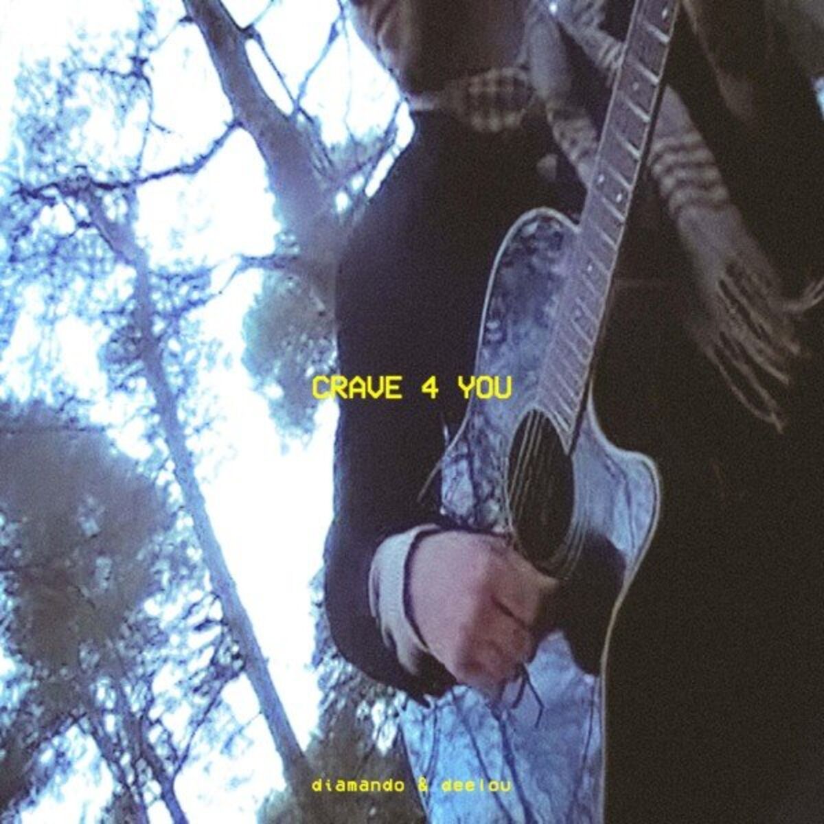 Album cover of Crave 4 You