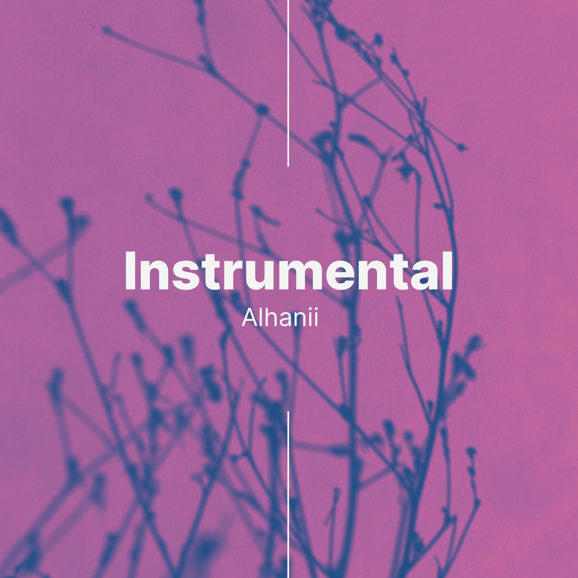 Album cover of Roi (Instrumental)